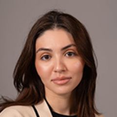 Ахмедова Аида Камиловна